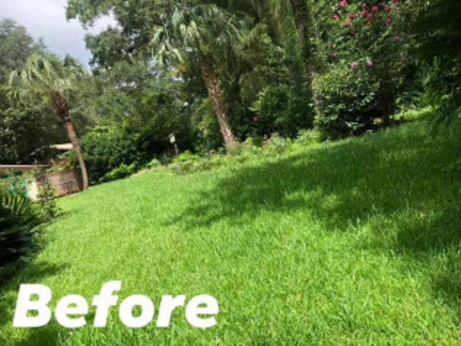 Trusted landscape design for beautiful yards in Lake City, FL by D & T Florida Services
