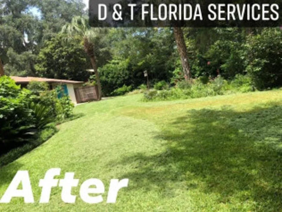 Affordable residential landscaping experts serving Lake City, FL - D & T Florida Services