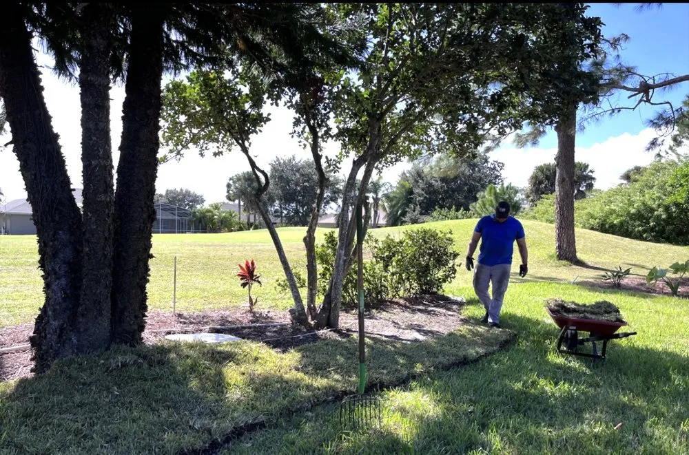 Professional lawn care service in Port Orange, FL by D & T Lawn And Landscape