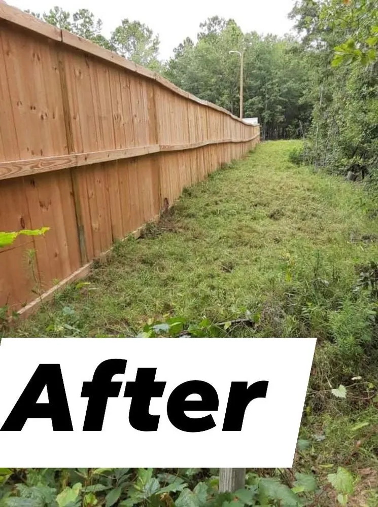 Local landscaping services in Lexington, SC - D & T Lawn Care