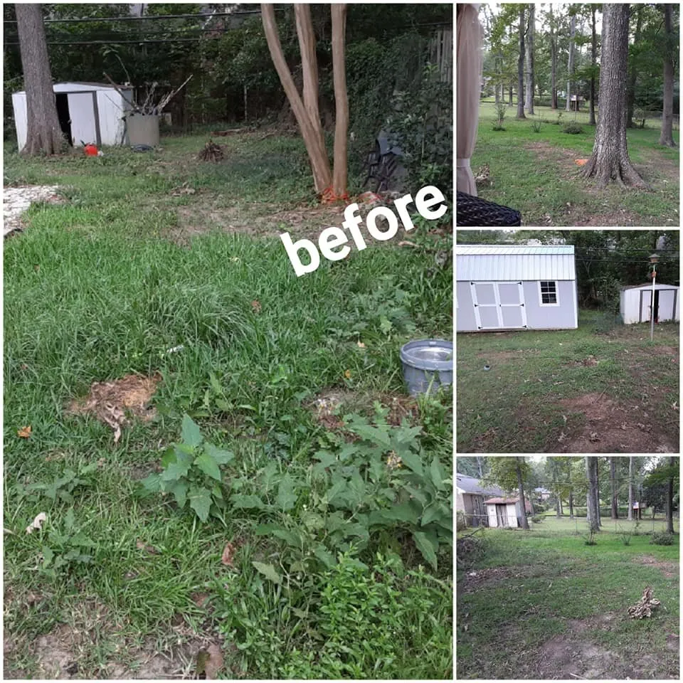 Professional yard maintenance in Lexington, SC - D & T Lawn Care