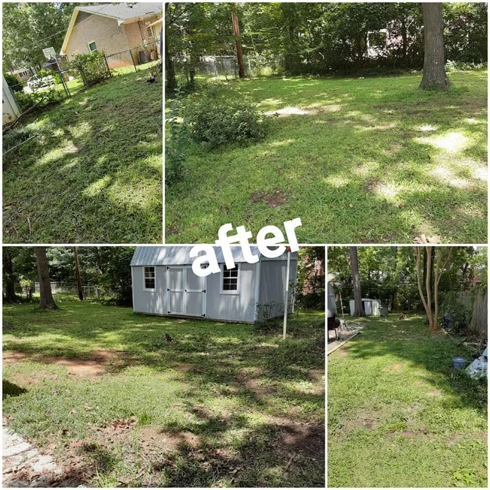Custom yard cleanup service for homes across Lexington, SC - D & T Lawn Care