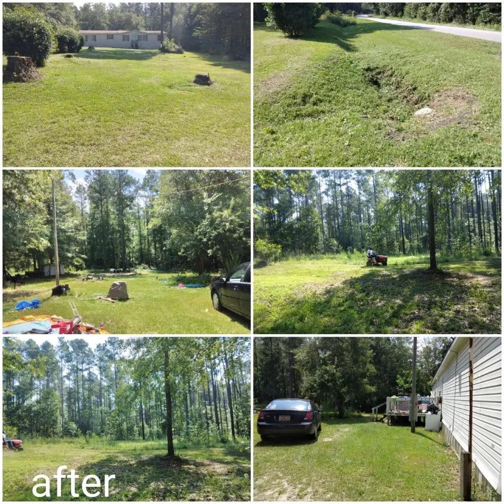 Trusted residential landscaping for beautiful yards in Lexington, SC by D & T Lawn Care