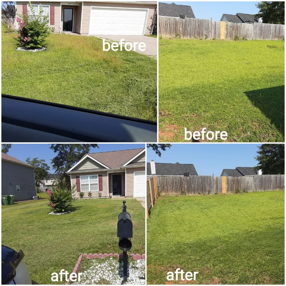 Reliable landscaping services experts serving Lexington, SC - D & T Lawn Care