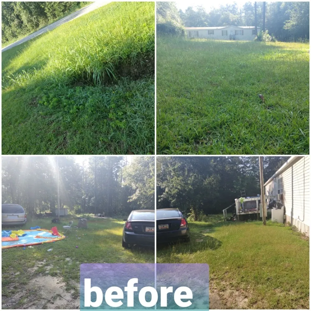 Top-rated landscaping services near you in Lexington, SC by D & T Lawn Care