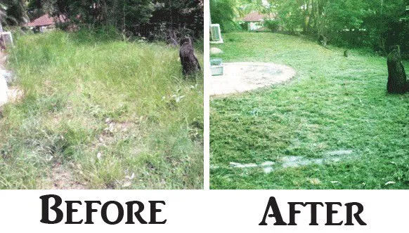 Trusted garden landscaping near you in Lexington, SC by D & T Lawn Care