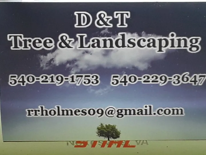 Trusted yard cleanup service for year-round maintenance across Rapidan, VA - D & T Tree & Landscaping