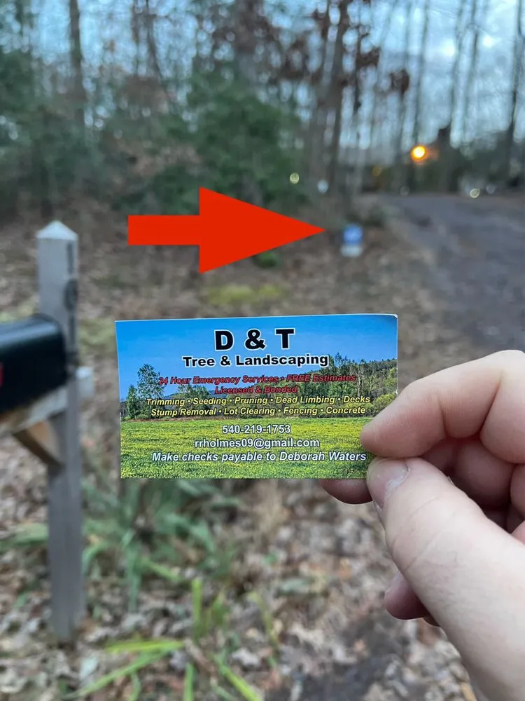 Expert garden landscaping for year-round maintenance across Rapidan, VA - D & T Tree & Landscaping