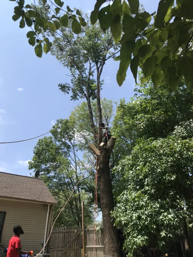 Local garden landscaping in Rapidan, VA - D & T Tree & Landscaping