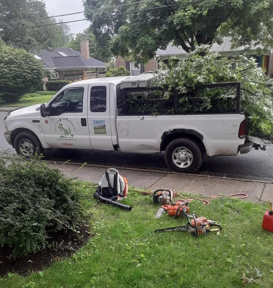 Local lawn care service experts serving Rapidan, VA - D & T Tree & Landscaping