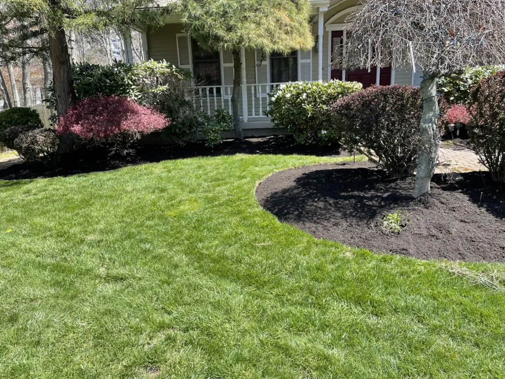 Local yard cleanup service for residential properties across Cranston, RI - D & V Site Development
