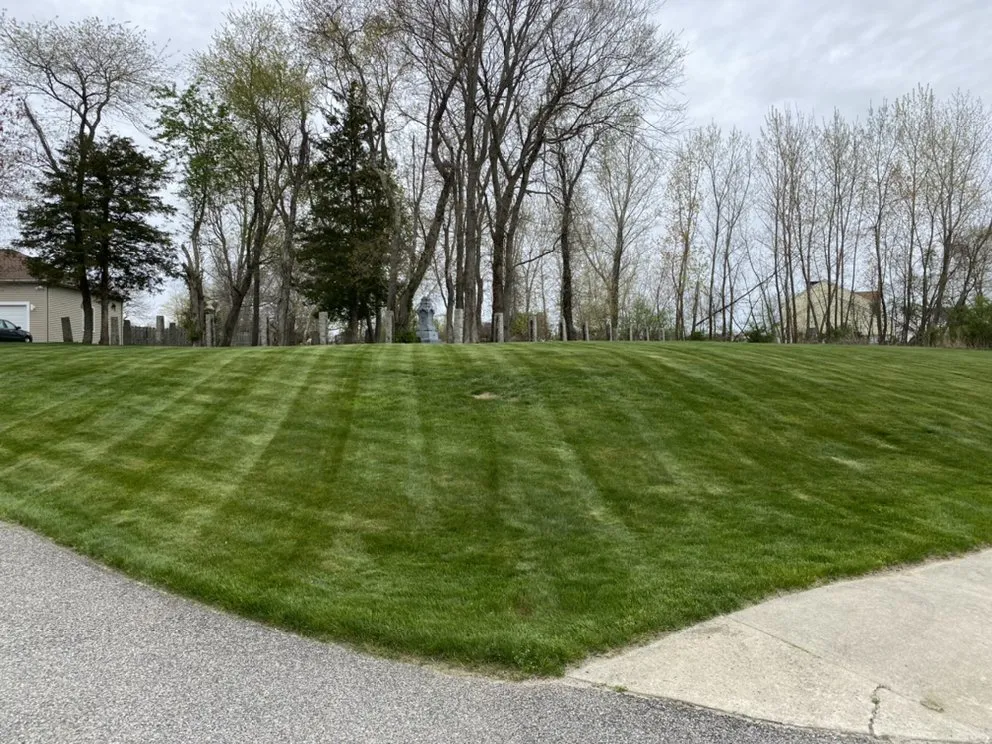 Top-rated yard cleanup service experts serving Cranston, RI - D & V Site Development