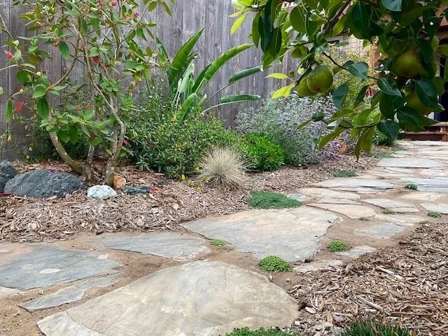 Local yard cleanup service for residential properties in San Francisco, CA by D A C Landscape S F