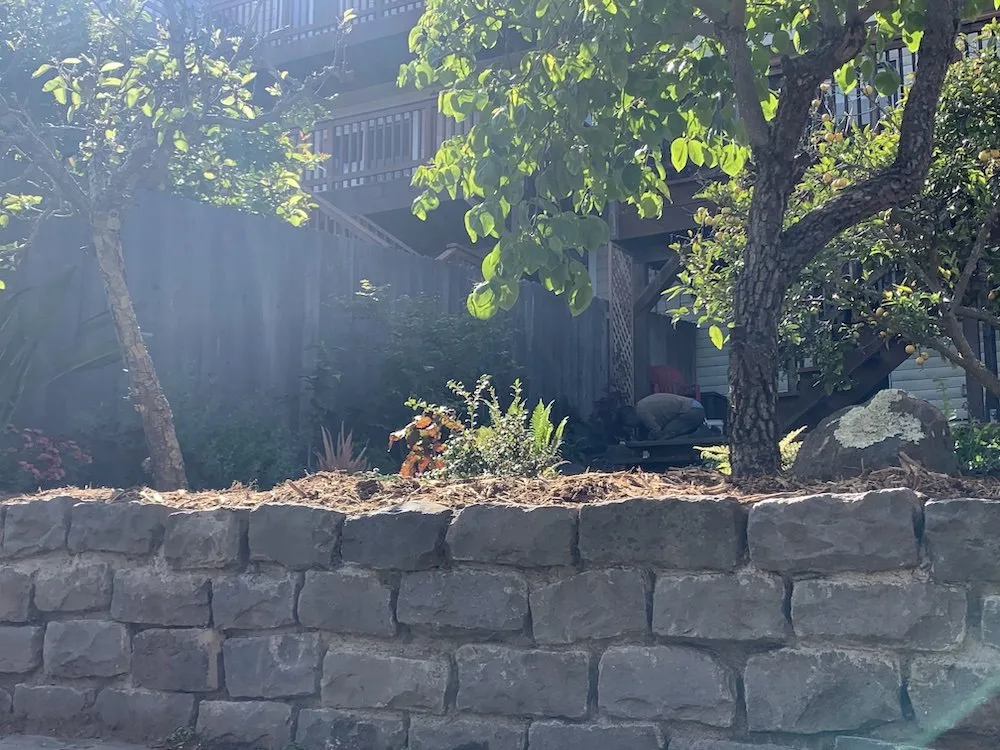 Expert landscape design with custom design in San Francisco, CA by D A C Landscape S F