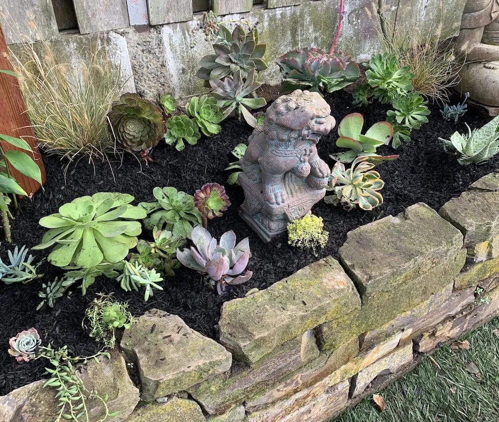 Expert yard maintenance with custom design across San Francisco, CA - D A C Landscape S F