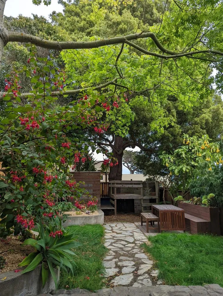 Professional landscape installation in San Francisco, CA - D A C Landscape S F