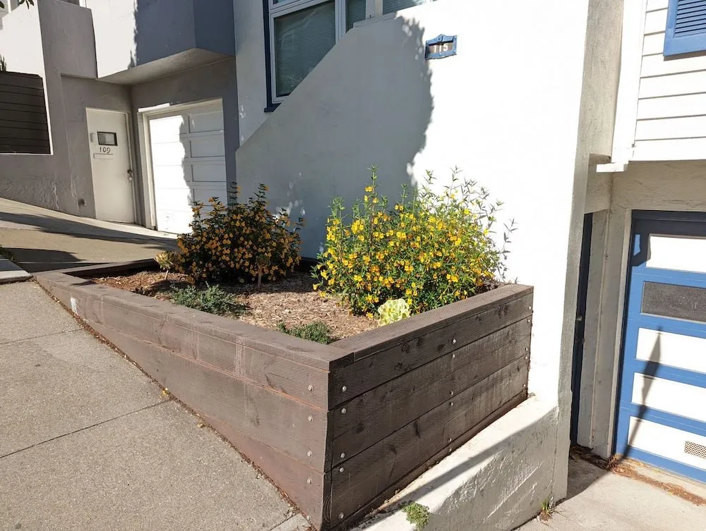 Trusted garden landscaping experts serving San Francisco, CA - D A C Landscape S F