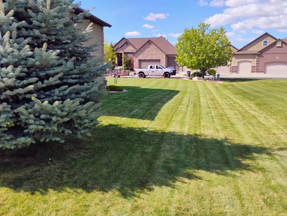 Trusted yard maintenance in Roy, UT by D A D Lawn Care and Junk Removal