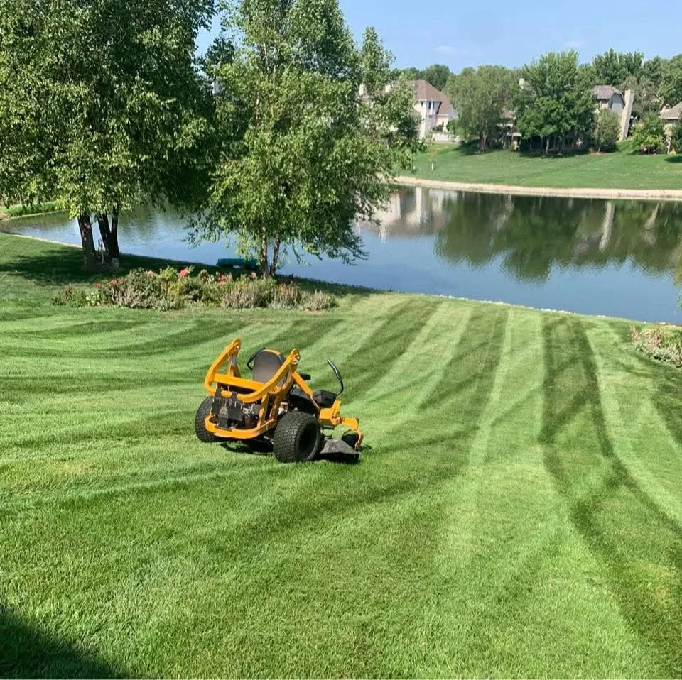 Expert yard cleanup service experts serving Roy, UT - D A D Lawn Care and Junk Removal