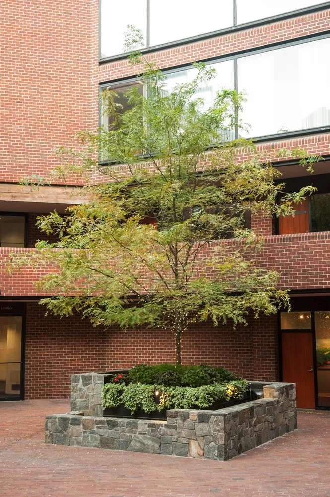 Custom residential landscaping for residential properties across Poolesville, MD - D. A. Dunlevy