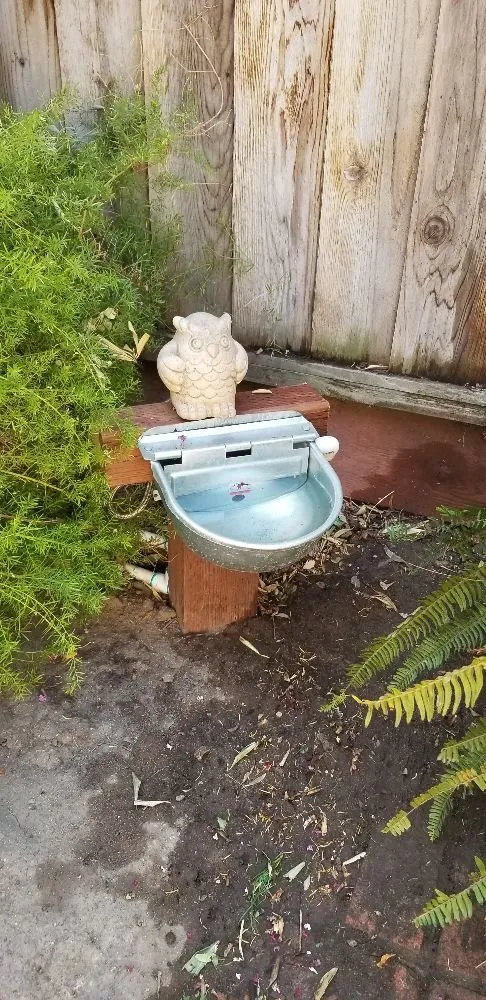 Affordable yard maintenance in Ceres, CA - D A Landscape Services