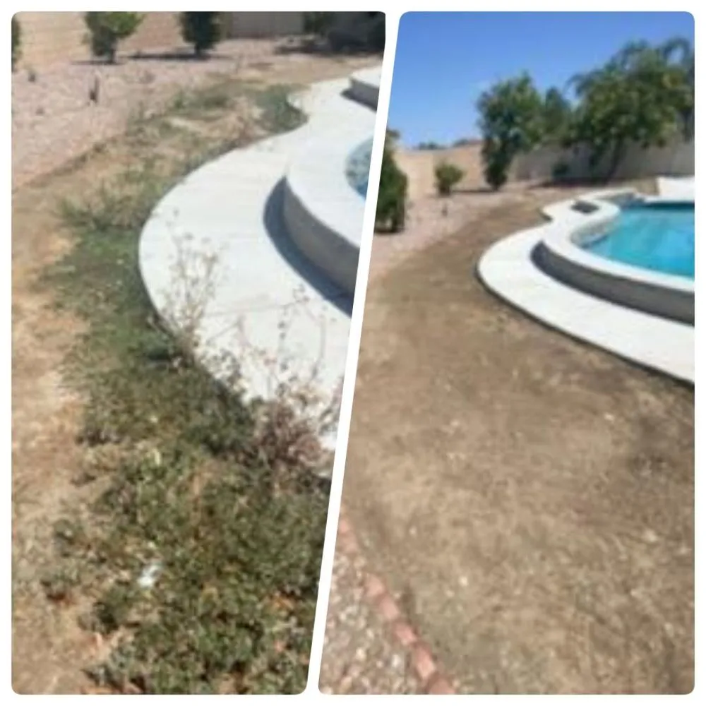 Expert lawn care service with custom design across Riverside, CA - D A Landscaping
