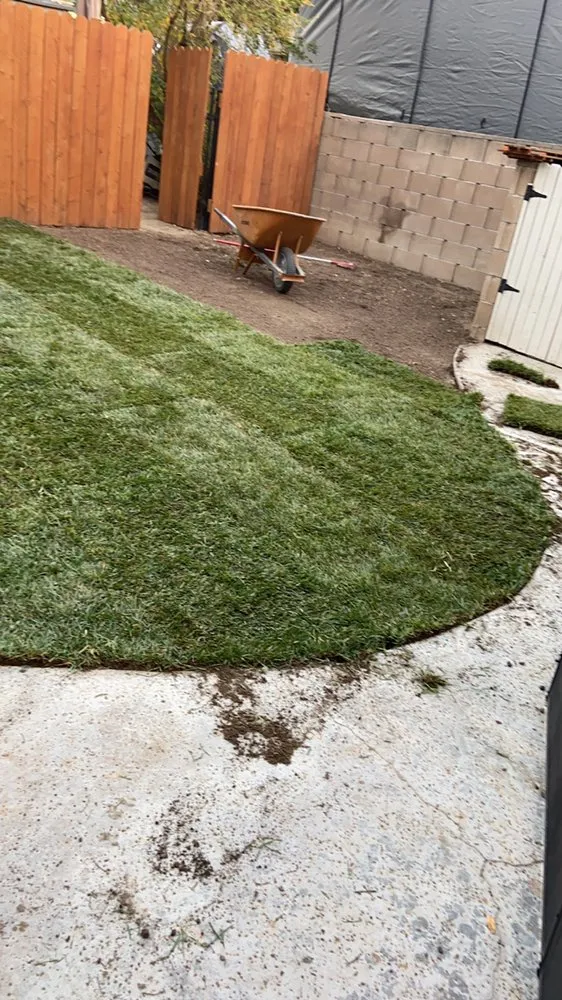Trusted yard cleanup service experts serving Riverside, CA - D A Landscaping