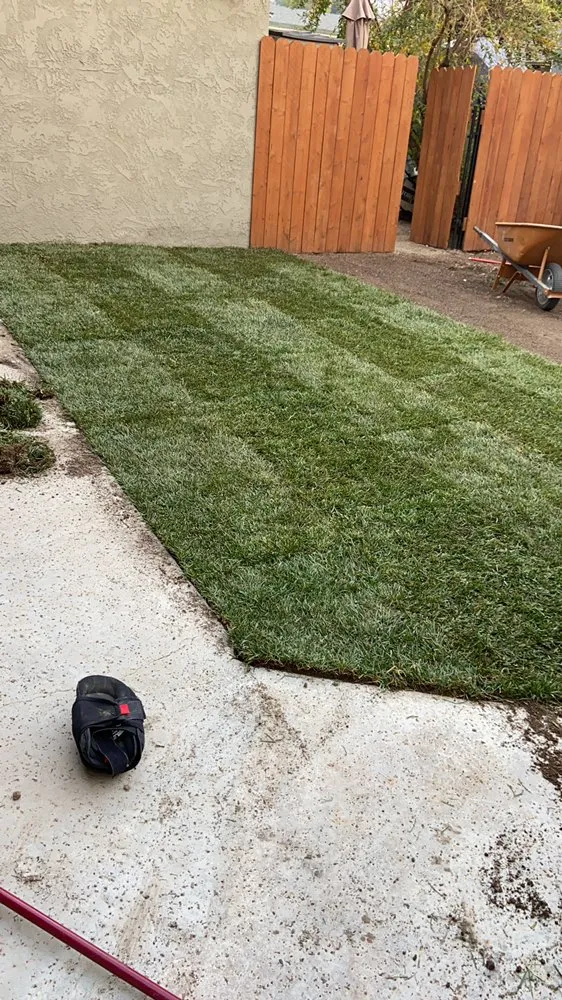 Local landscape design in Riverside, CA by D A Landscaping