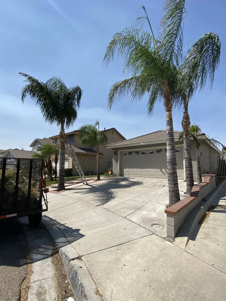 Affordable residential landscaping in Riverside, CA by D A Landscaping