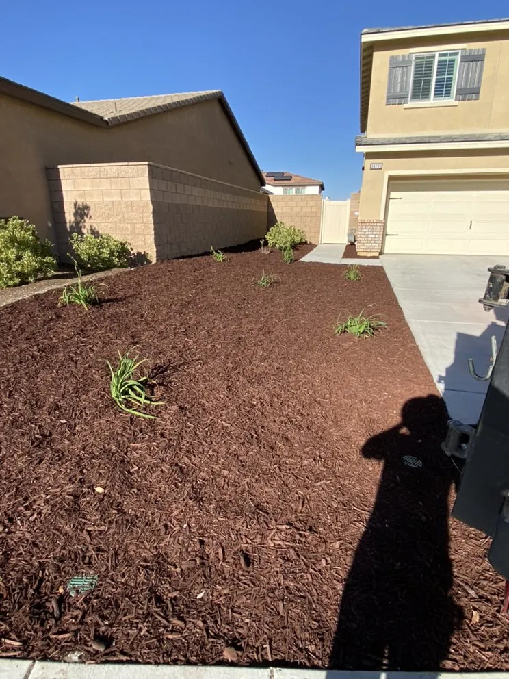Expert residential landscaping in Riverside, CA by D A Landscaping