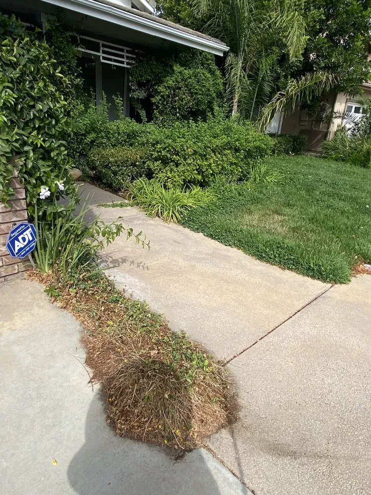 Expert outdoor landscaping for year-round maintenance across Riverside, CA - D A Landscaping