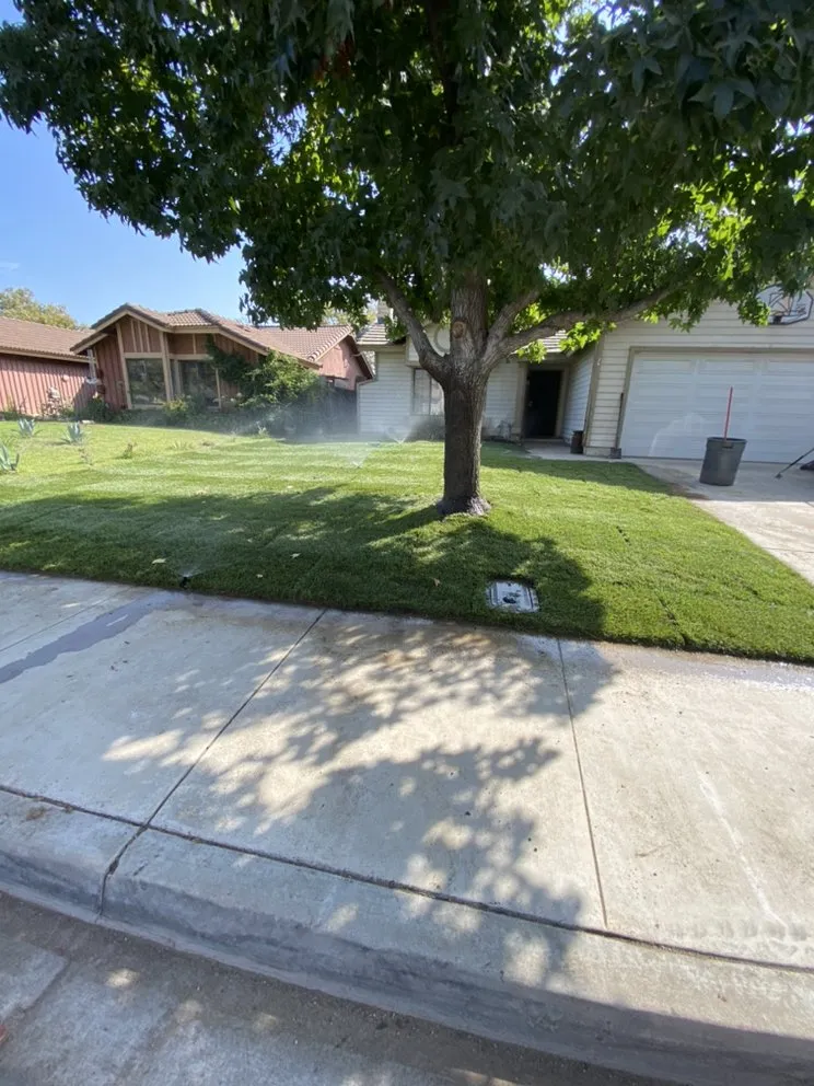 Local lawn care service in Riverside, CA by D A Landscaping