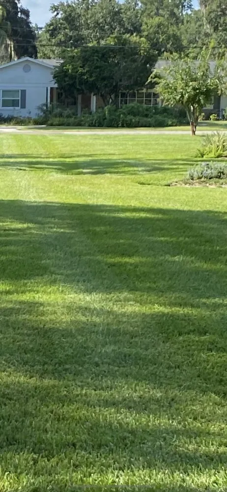 Custom yard cleanup service for homes in Ocala, FL by D A Lawn Care