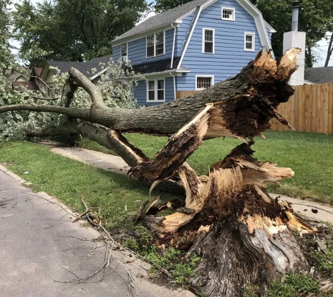 Professional outdoor landscaping for year-round maintenance across Nottingham, NH - D A M Excavation & Land Services