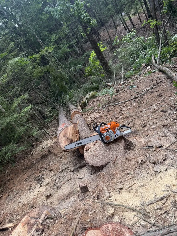 Custom yard cleanup service in Nottingham, NH - D A M Excavation & Land Services