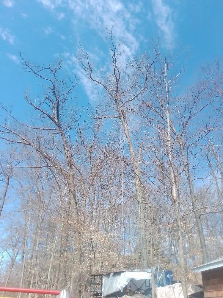 Expert residential landscaping with custom design across Patterson, NY - D A P Landscaping