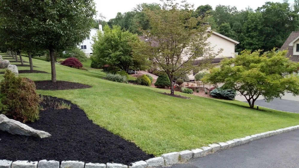 Professional yard cleanup service experts serving Patterson, NY - D A P Landscaping