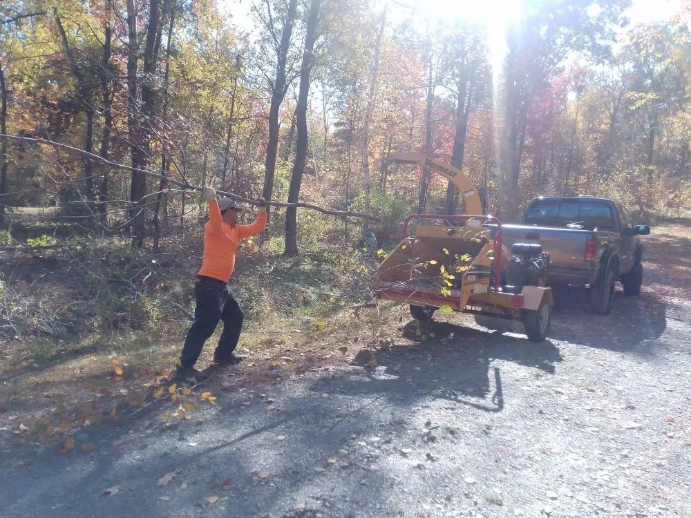 Expert lawn care service for beautiful yards in Patterson, NY by D A P Landscaping