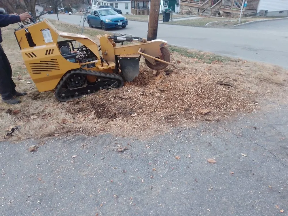 Affordable outdoor landscaping experts serving Patterson, NY - D A P Landscaping