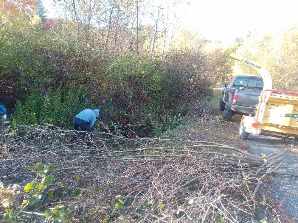 Reliable outdoor landscaping for outdoor upgrades across Patterson, NY - D A P Landscaping