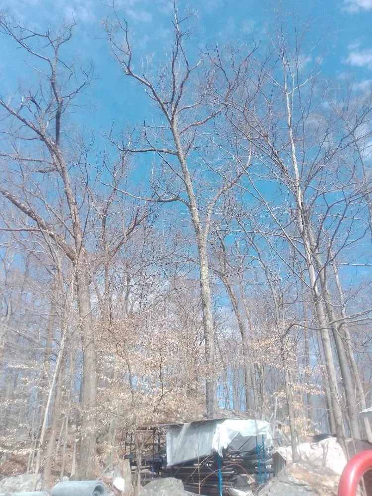 Affordable residential landscaping with custom design across Patterson, NY - D A P Landscaping