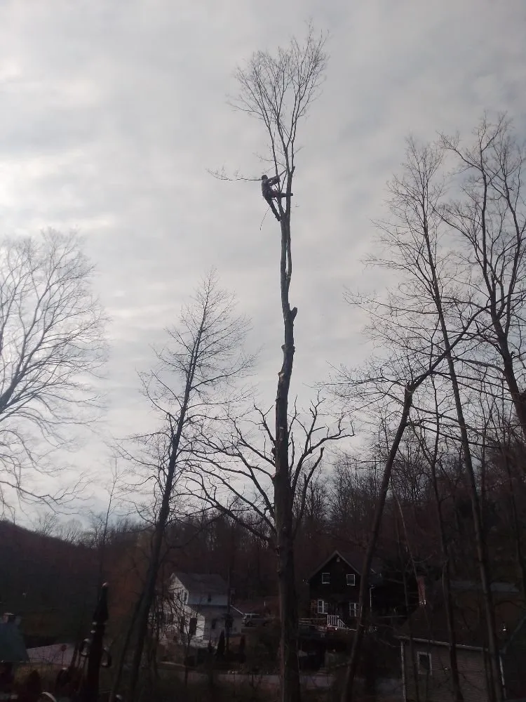 Top-rated outdoor landscaping for residential properties in Patterson, NY by D A P Landscaping