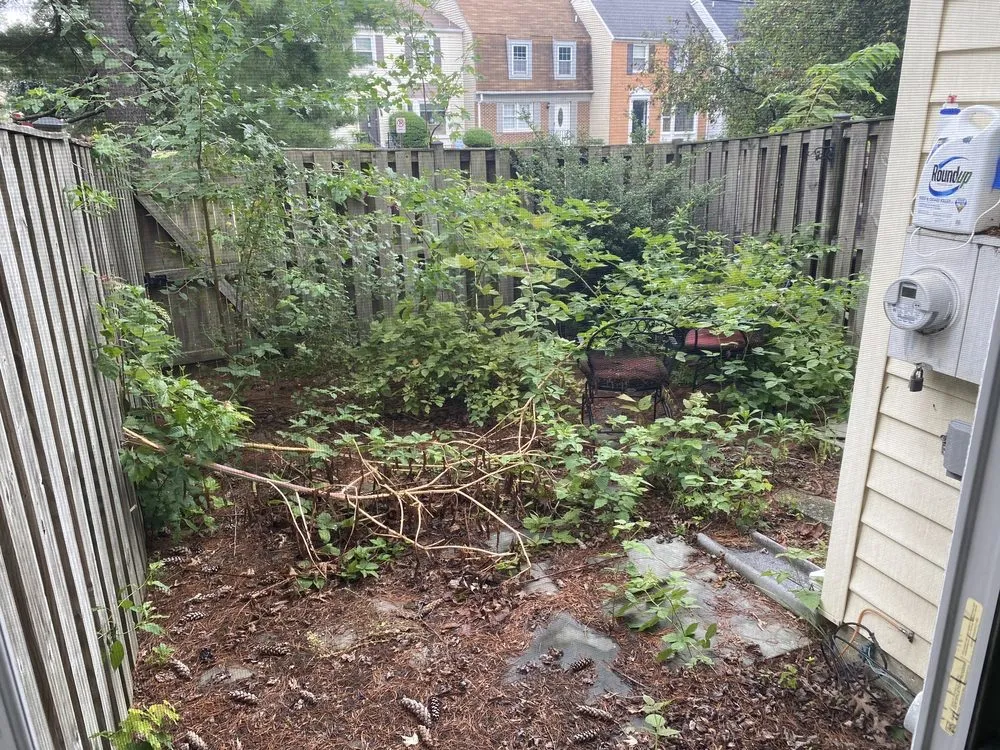 Affordable landscape installation in Gaithersburg, MD by D a R Landscaping