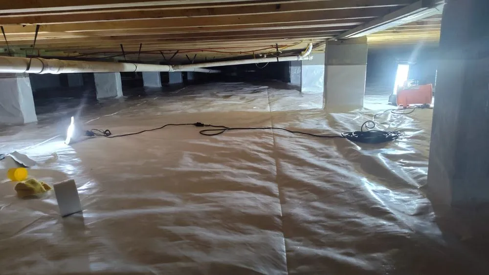 Trusted yard cleanup service for homes across North Charleston, SC - D A Z Company