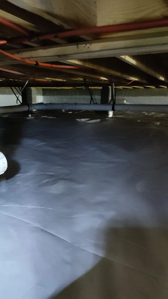 Custom lawn care service experts serving North Charleston, SC - D A Z Company