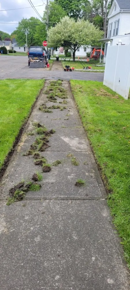 Top-rated outdoor landscaping for outdoor upgrades in Dansville, NY by D Adams Property Maintenance