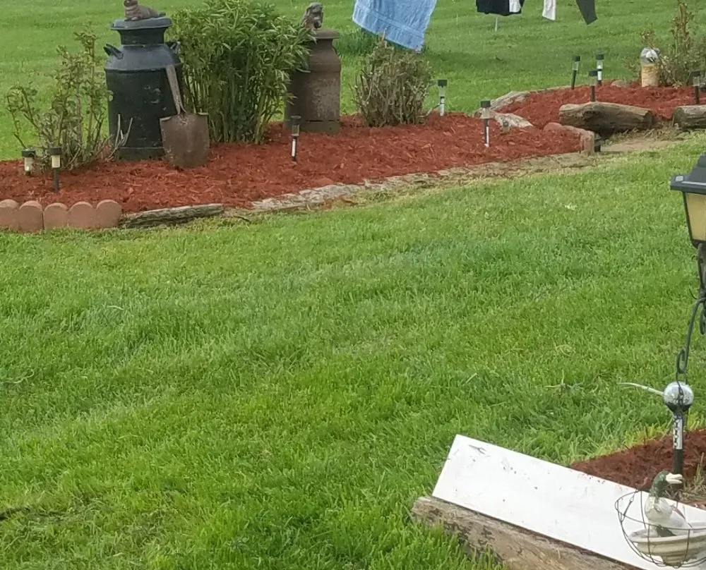 Top-rated lawn mowing service in Dansville, NY - D Adams Property Maintenance