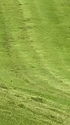 D Adams Property Maintenance