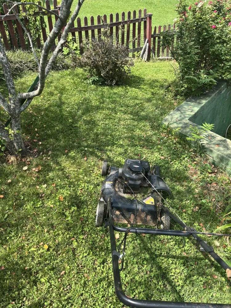 Professional landscaping services experts serving Martinsville, VA - D and A Hauling N Lawncare