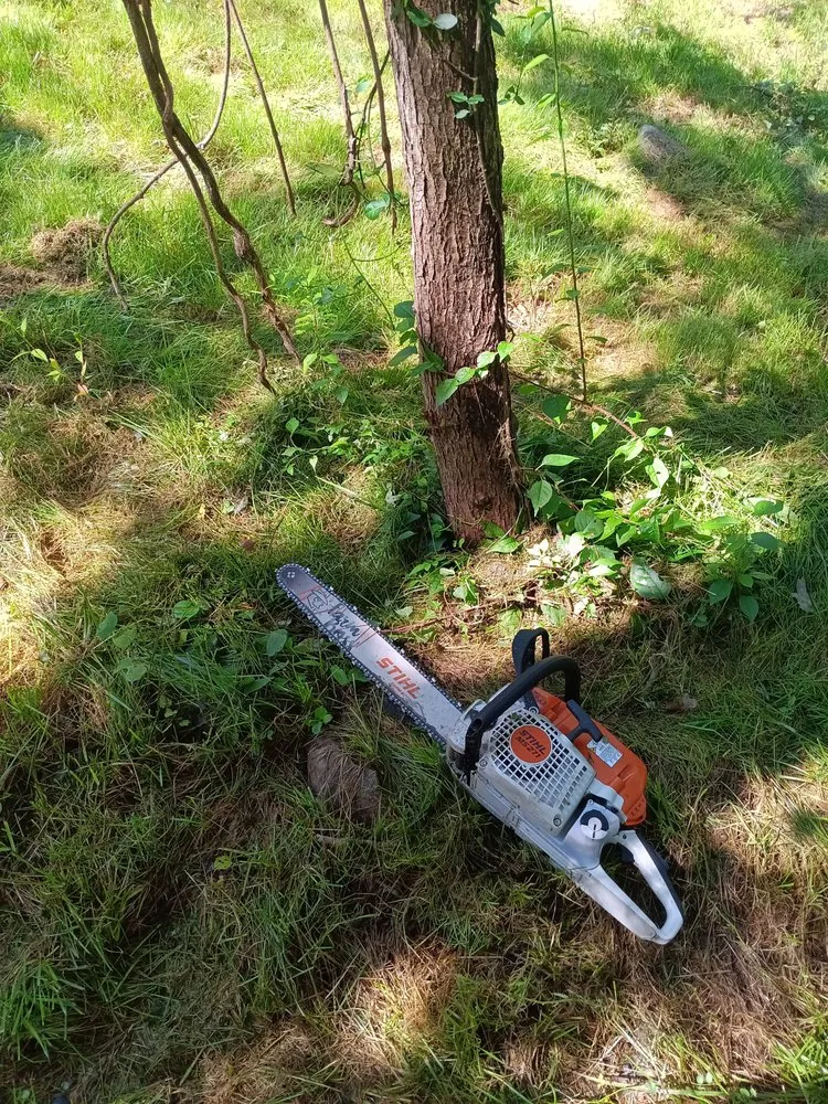 Expert landscape installation in Westerly, RI - D And B Fix It Home Repair And Improvement